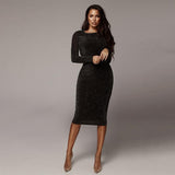 Bodycon  Sequins Dress